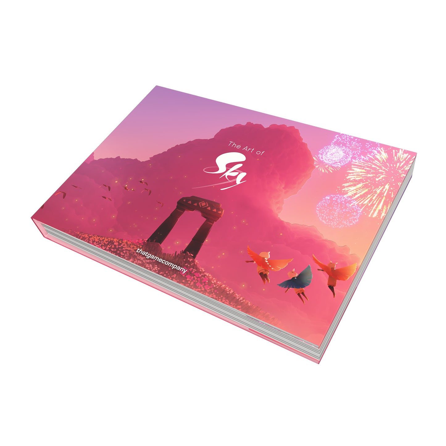 Sky公式アートブック『Gratitude to Nesting (2019–2024)』