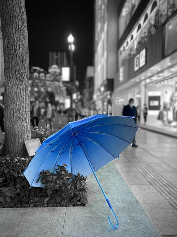 光海月の雨傘