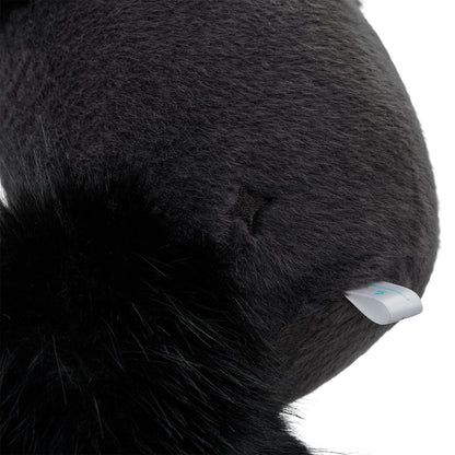 猫の使い魔ぬいぐるみ